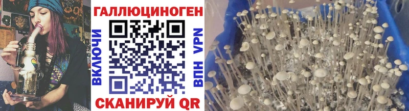 mega рабочий сайт  Чишмы  Псилоцибиновые грибы Psilocybine cubensis  наркота 